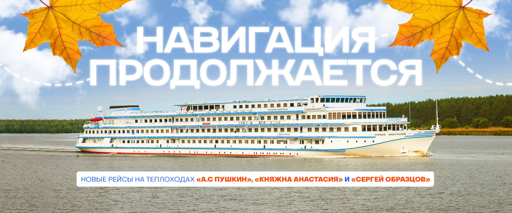 пушкин анастасия (2).jpg