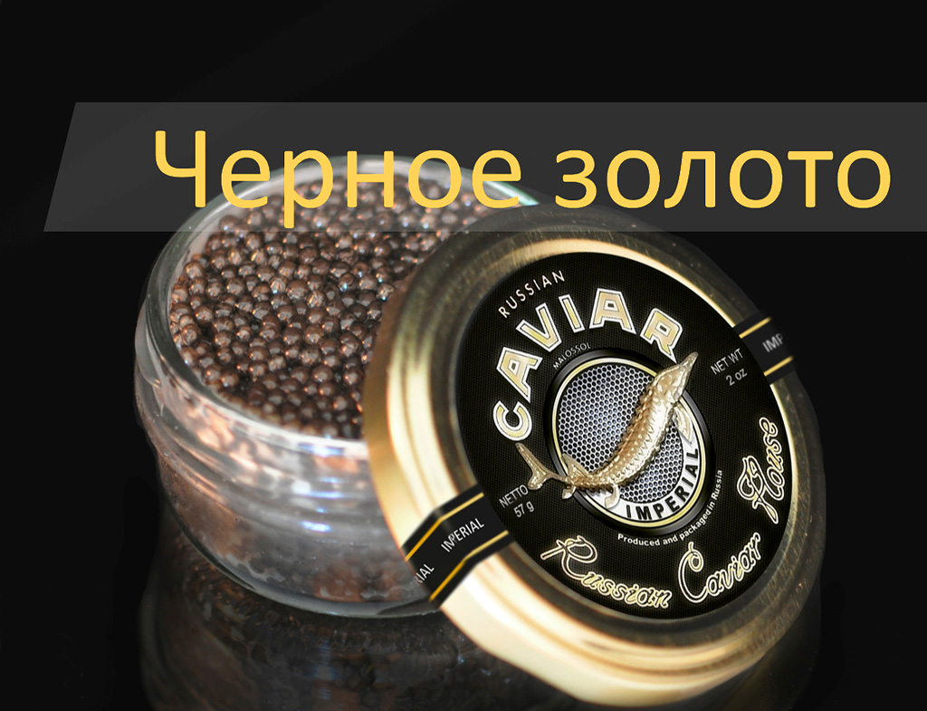 Русское «черное золото» — дегустации на теплоходах.