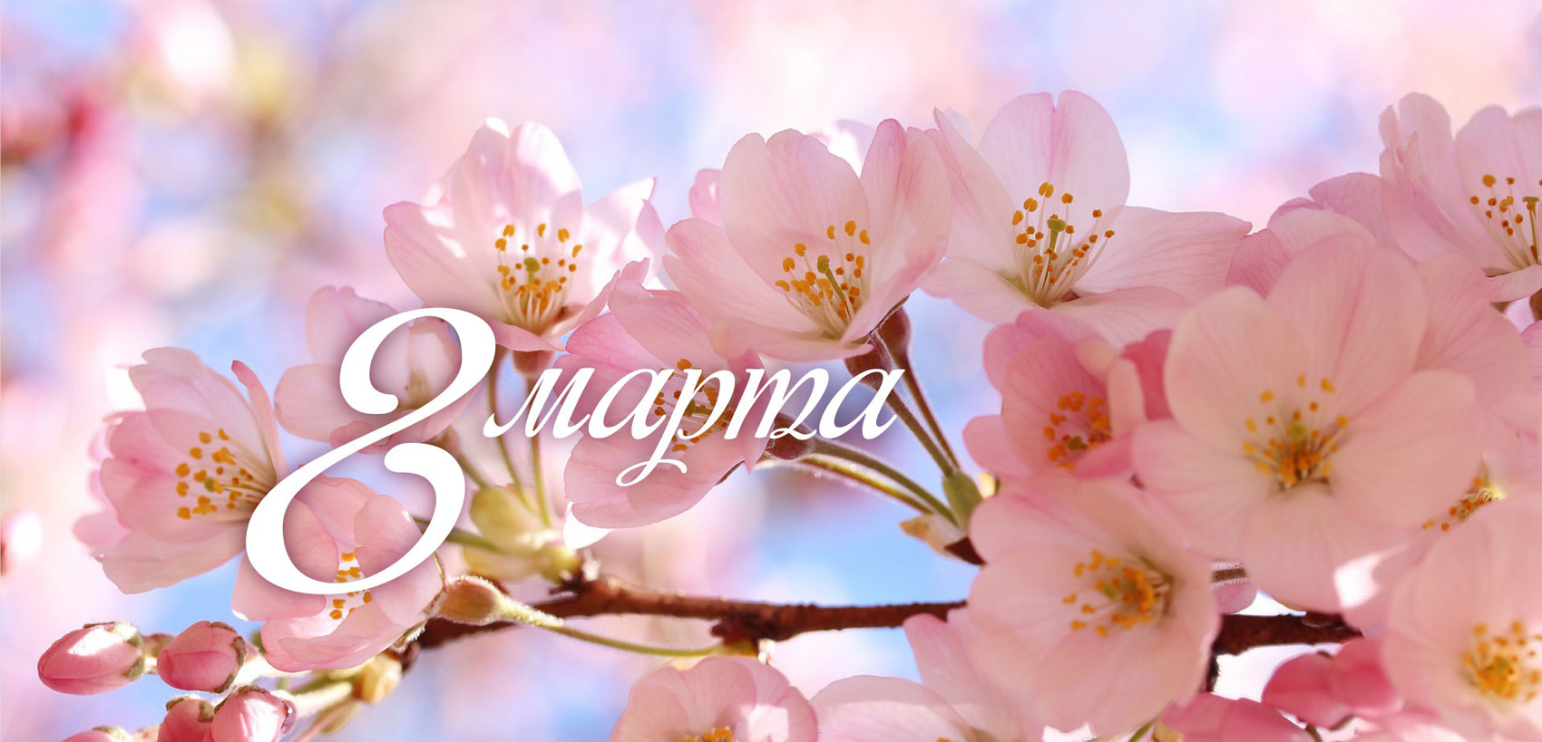 1700_МРП-баннерСайт8марта23.jpg 1700_МРП-баннерСайт8марта23.jpg